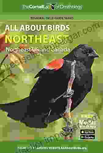 All About Birds Northeast: Northeast US And Canada (Cornell Lab Of Ornithology)